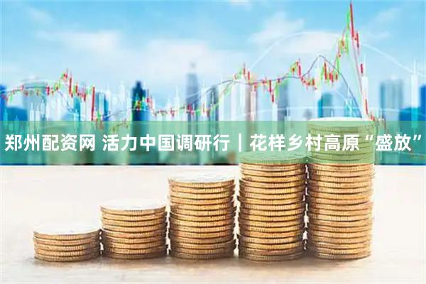 郑州配资网 活力中国调研行｜花样乡村高原“盛放”